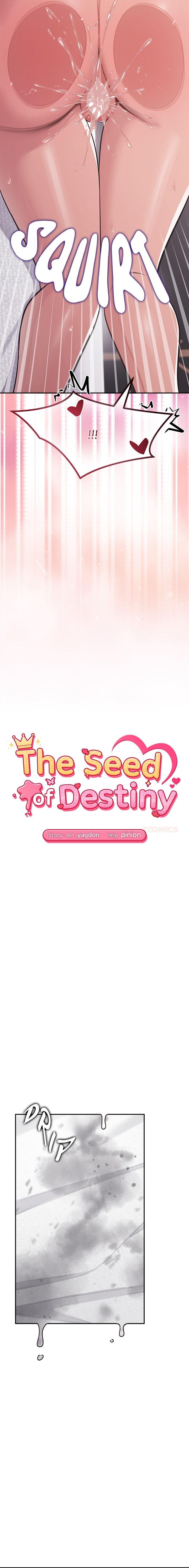 The Seed of Destiny Chap Chapter 16-The Seed of Destiny - Next Chap 18