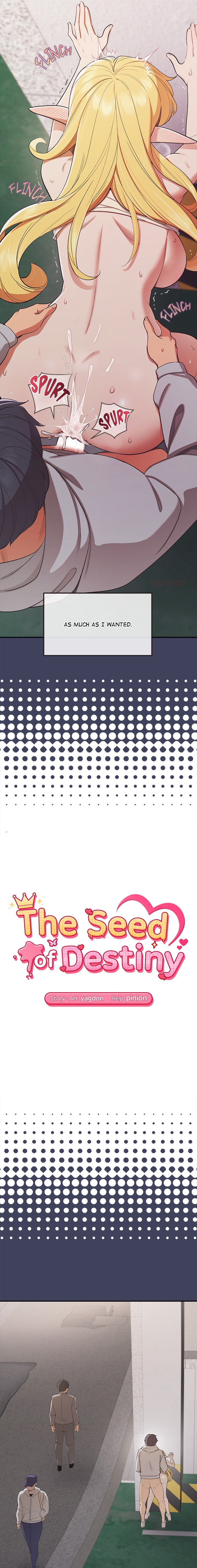 The Seed of Destiny Chap Chapter 20-The Seed of Destiny - Next Chap 22