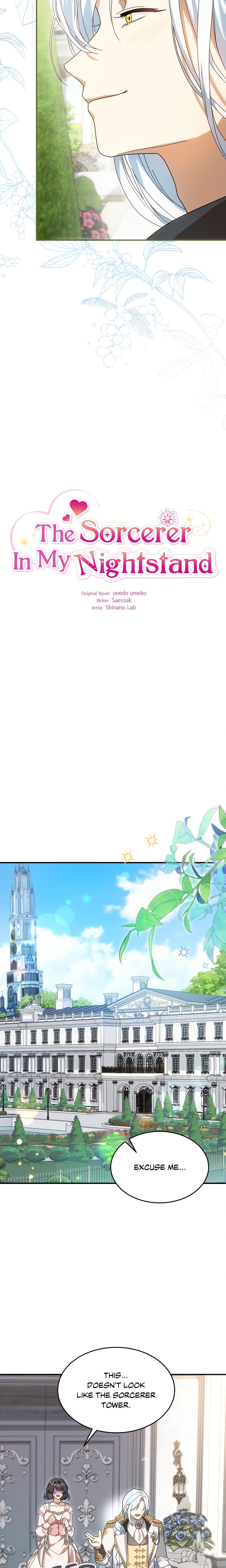 The Sorcerer in My Nightstand Chap Chapter 3-The Sorcerer in My Nightstand - Next Chap 4