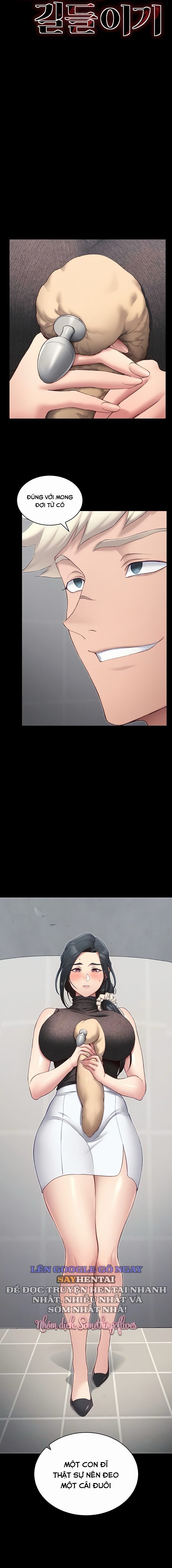 Thuần Phục Kẻ Bắt Nạt 18+ Chap Chapter 19-Thuần Phục Kẻ Bắt Nạt - Next Chap 20