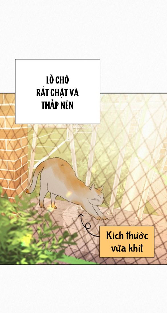 Tình Yêu Trong Sáng Chap Chapter 45-Tình Yêu Trong Sáng - Next Chap 65
