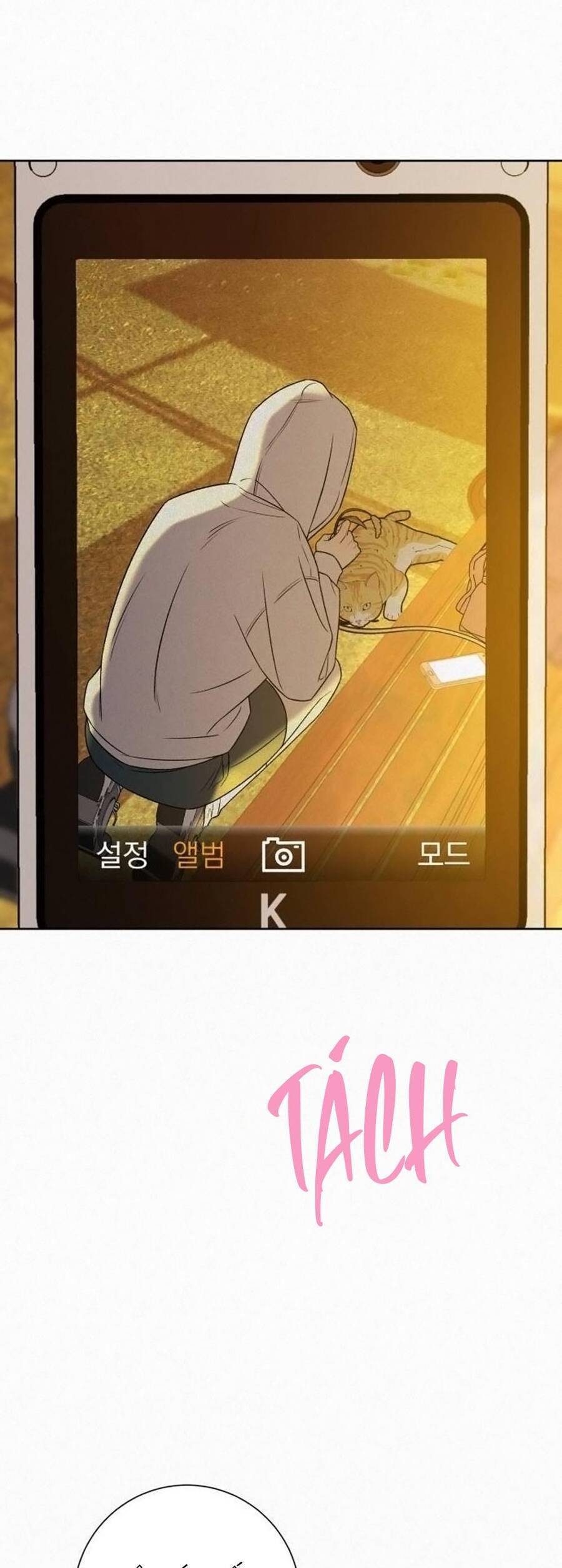 Tình Yêu Trong Sáng Chap Chapter 99-Tình Yêu Trong Sáng - Next Chap 168