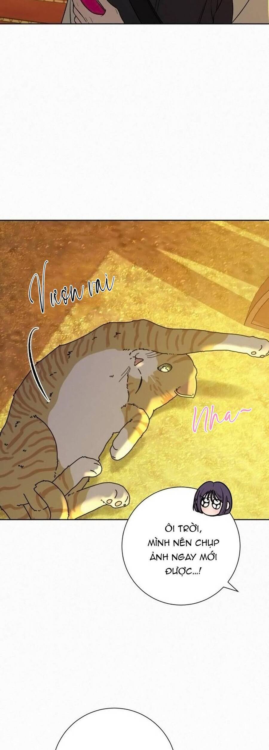 Tình Yêu Trong Sáng Chap Chapter 99-Tình Yêu Trong Sáng - Next Chap 168