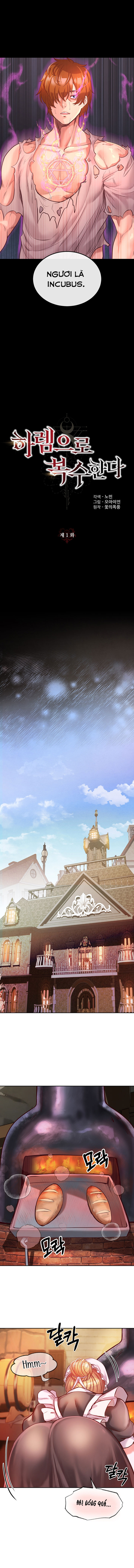 Trả Thù Bằng Dàn Harem Chap Chapter 1-Trả Thù Bằng Dàn Harem - Next Chap 2