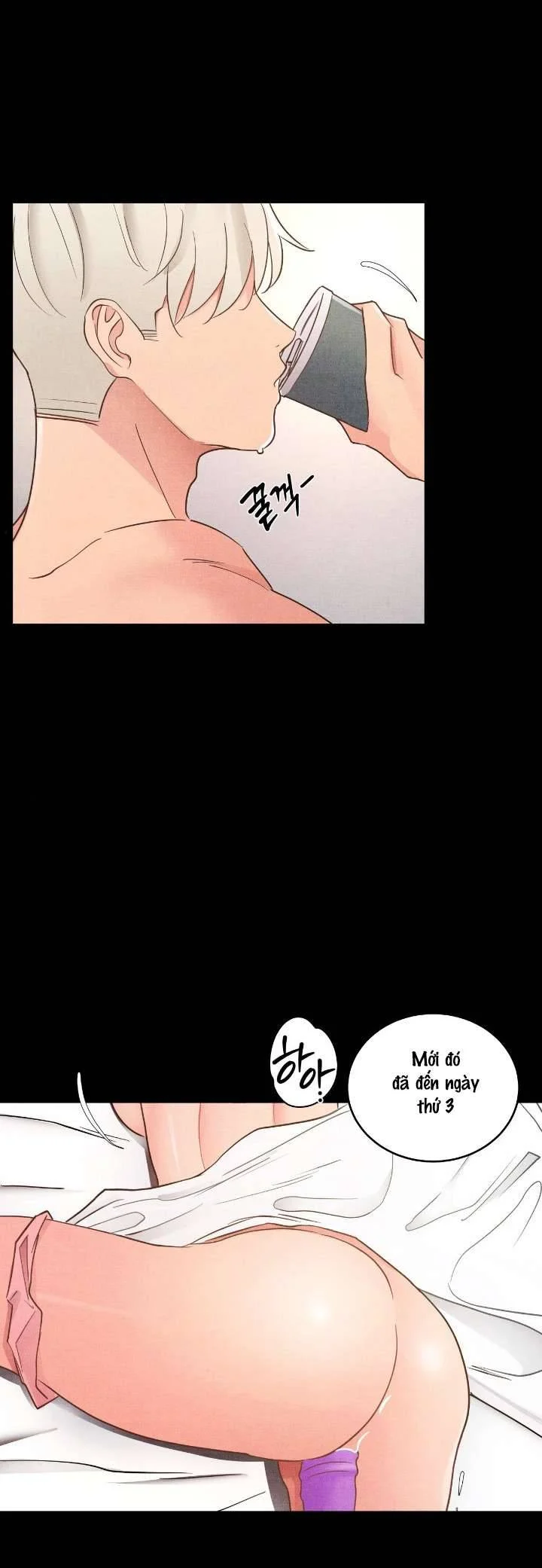 Trải Nghiệm Nhục Nhã Mỗi Ngày Chap Chapter 22-Trải Nghiệm Nhục Nhã Mỗi Ngày - Next Chap 23